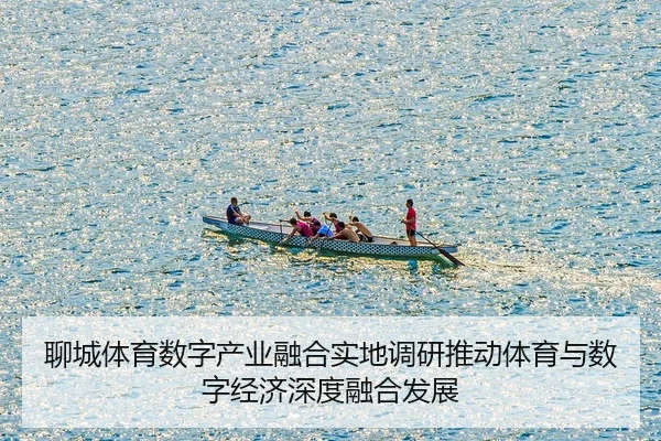 聊城体育数字产业融合实地调研推动体育与数字经济深度融合发展